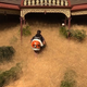 A brave man clearing hairy panic from around a home in Wangaratta (Credit: CHANNEL 7/AFP/Getty Images)